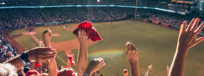 Fans in baseball stadium