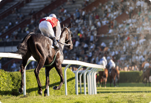 horse-racing-rounded-12px-1014