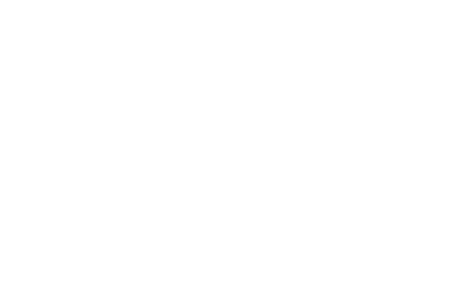 Metlife Stadium